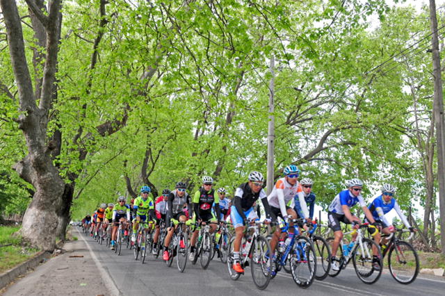 Ciclismo Ruta Linares 2016 Foto Bill Torres 4
